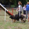 foire-haricots 2011-09-17et18
